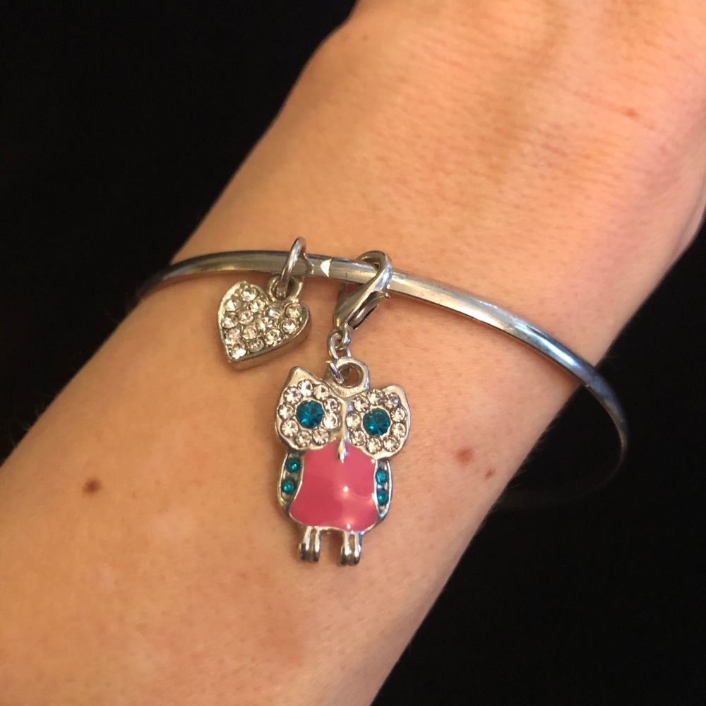 Silver Tone Pink and Blue Owl Charm Bracelet